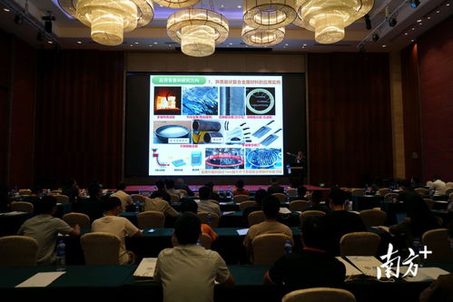 技術推廣會與高質量發展論壇在陽江高新區成功舉辦，共繪產業升級新藍圖